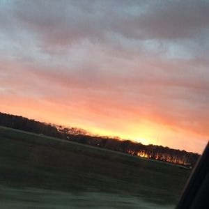 Meet your Posher, Caity